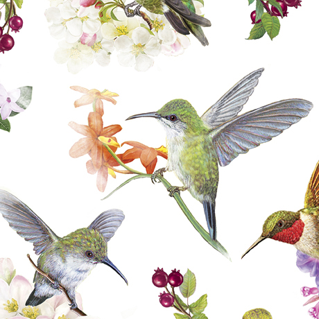 HUMMINGBIRD GARDEN       